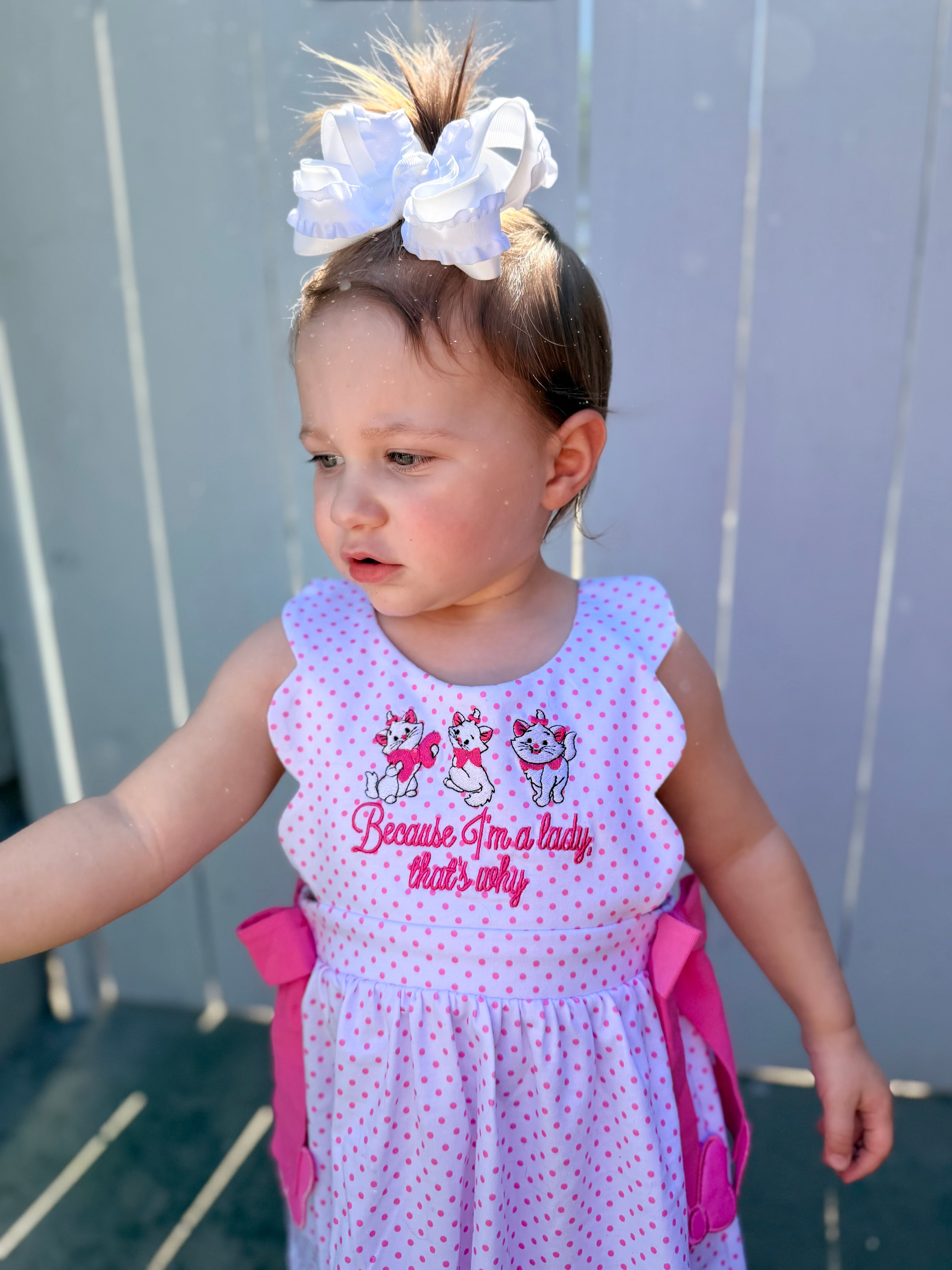 I'm A Lady Bloomer Set