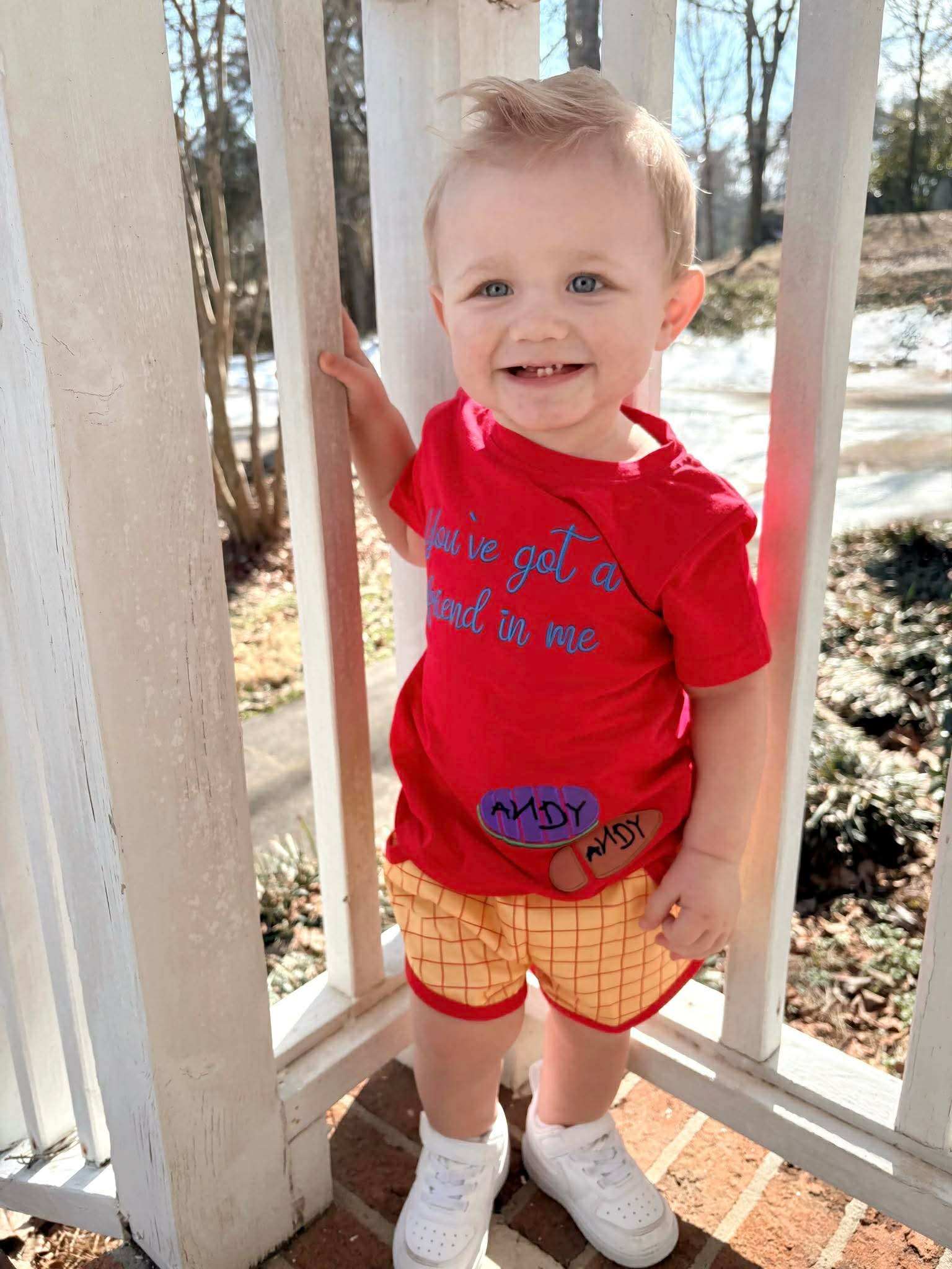 Andy's Toys Boys Short Set